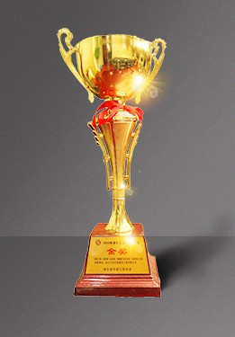 尊龙凯时人生就是搏·(中国区)官方网站