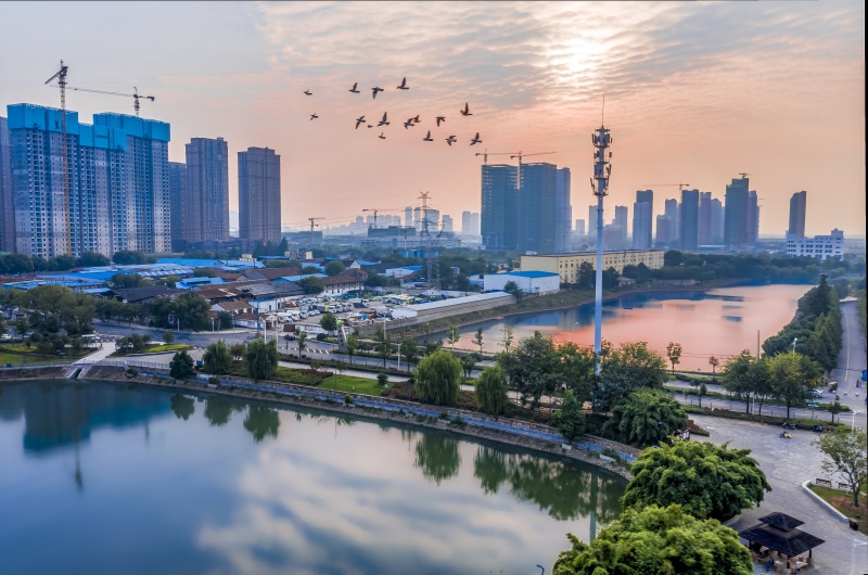 尊龙凯时人生就是搏·(中国区)官方网站