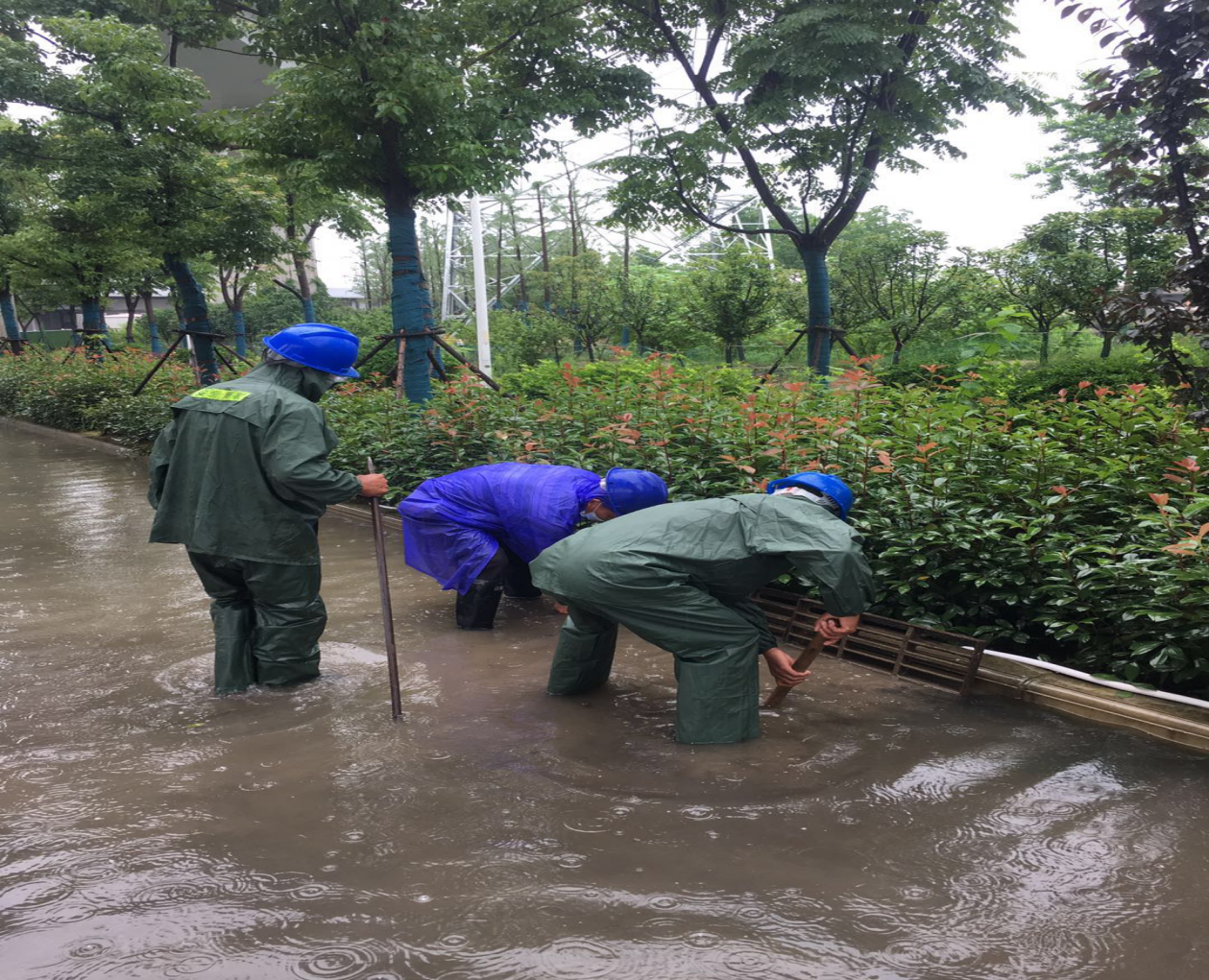 尊龙凯时人生就是搏·(中国区)官方网站