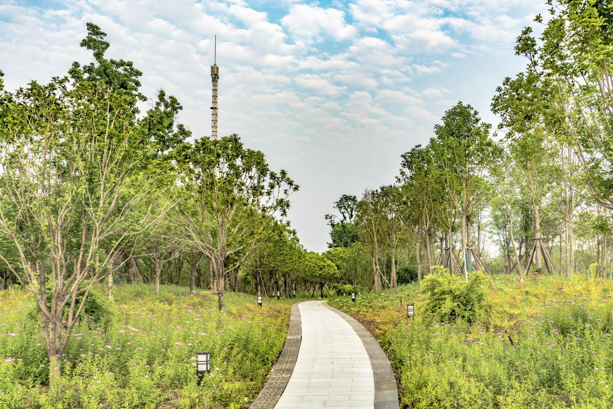 尊龙凯时人生就是搏·(中国区)官方网站