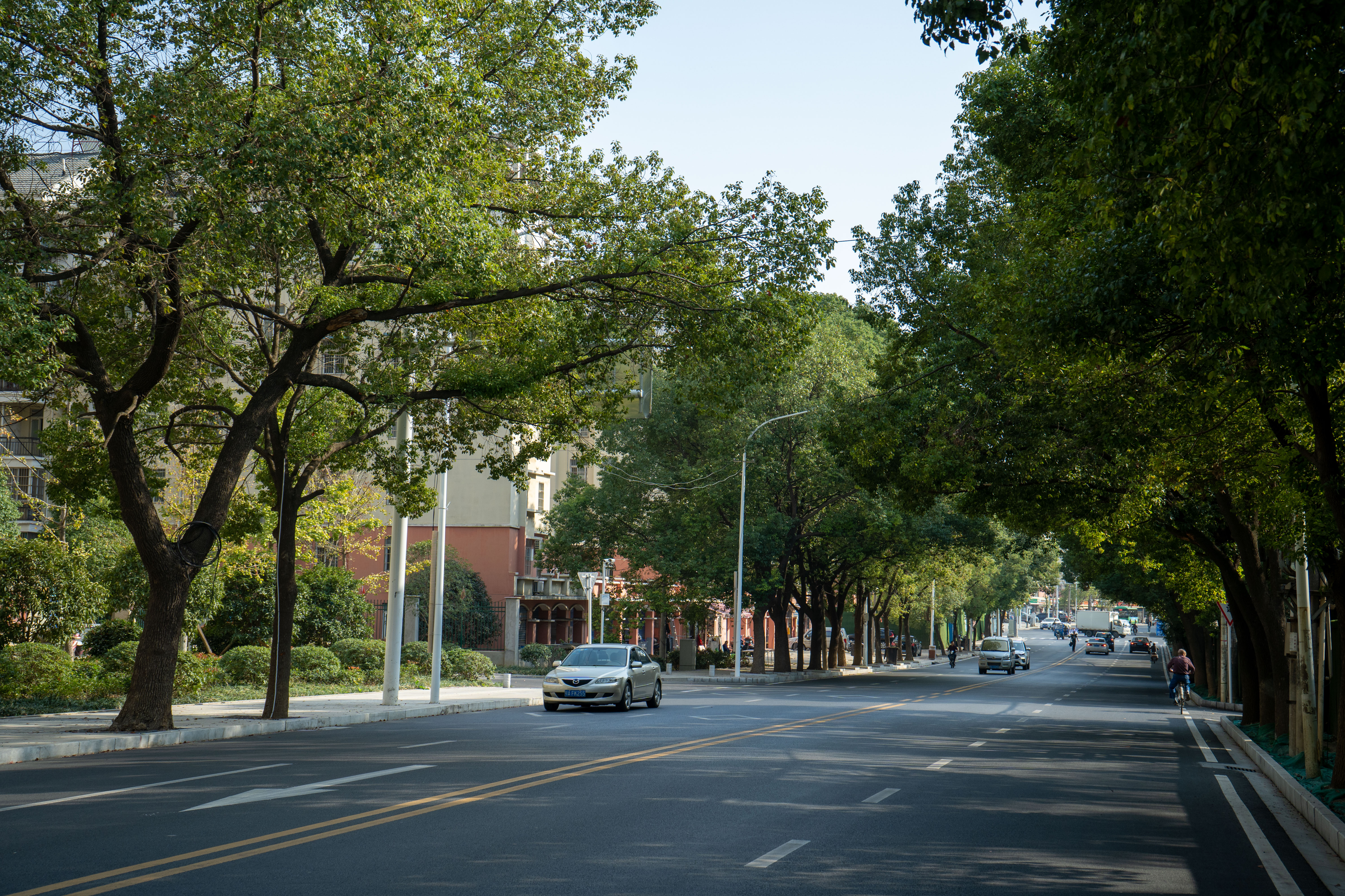 尊龙凯时人生就是搏·(中国区)官方网站