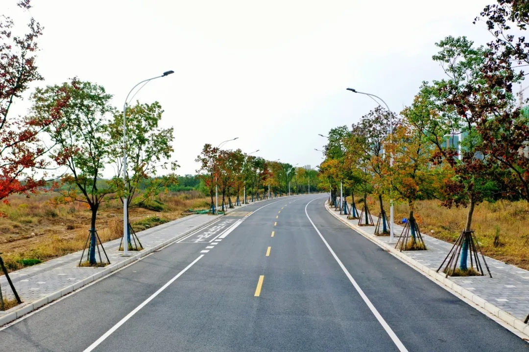 尊龙凯时人生就是搏·(中国区)官方网站