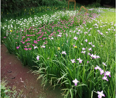 尊龙凯时人生就是搏·(中国区)官方网站