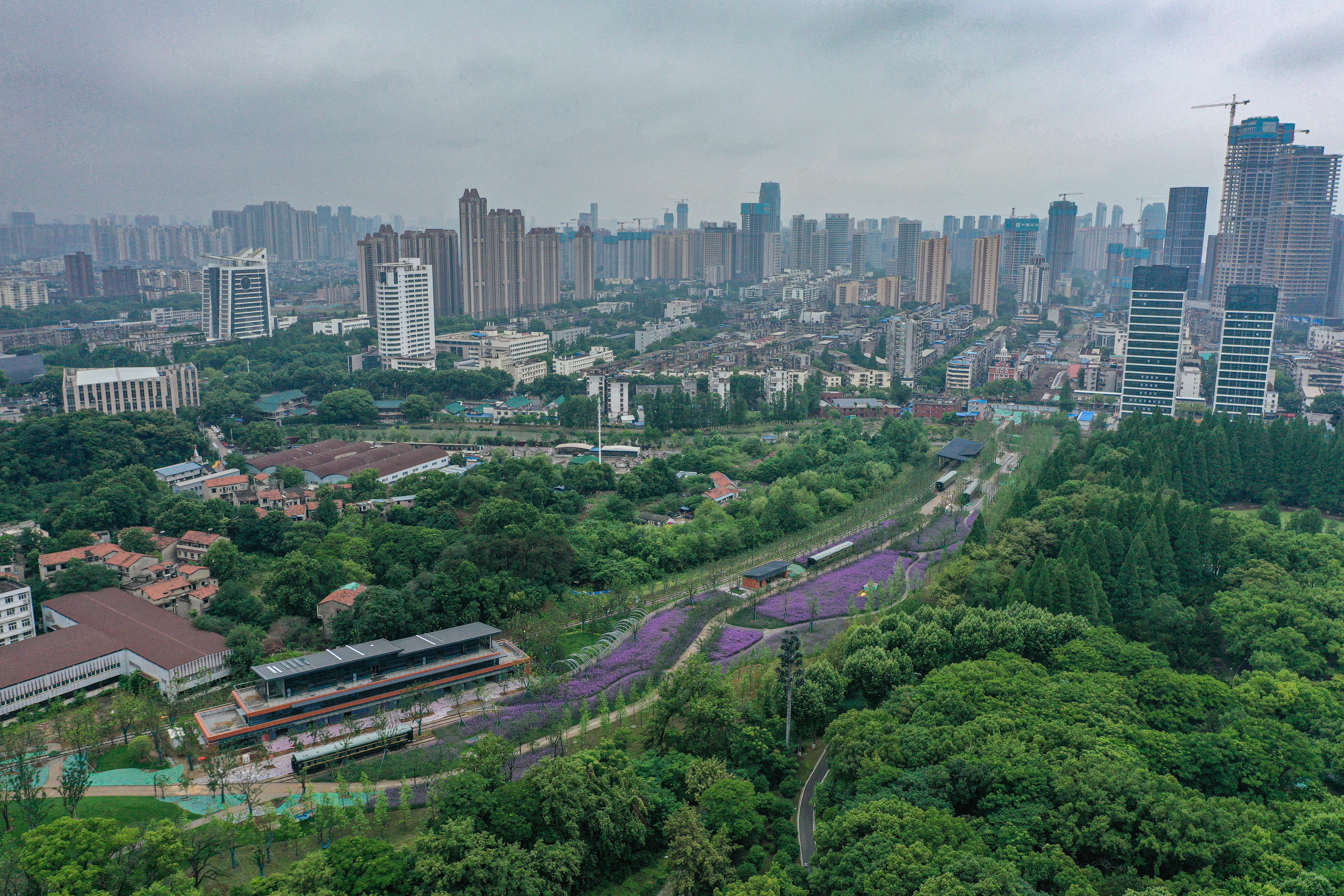 尊龙凯时人生就是搏·(中国区)官方网站