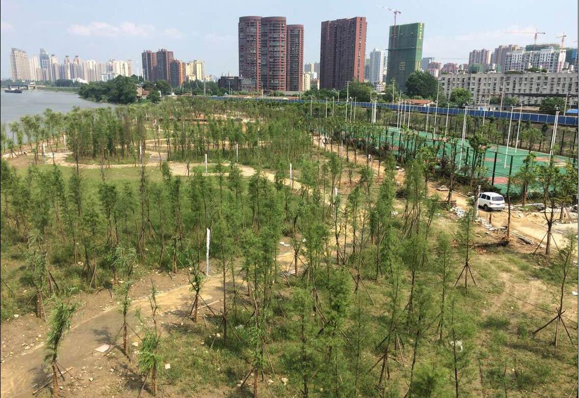 尊龙凯时人生就是搏·(中国区)官方网站