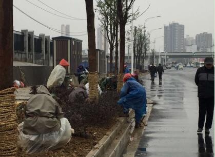 尊龙凯时人生就是搏·(中国区)官方网站